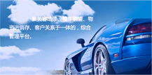 汽车维修软件-可视化数据分享